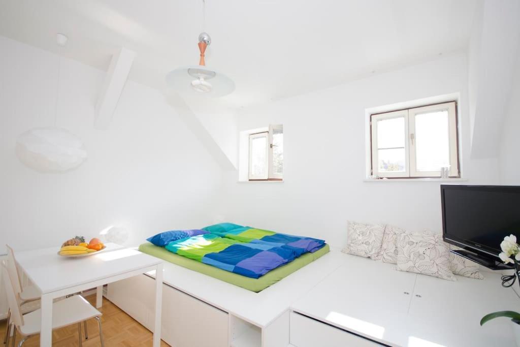 The Cute, Sunny Apartment In The Center +P Ljubljana Ngoại thất bức ảnh